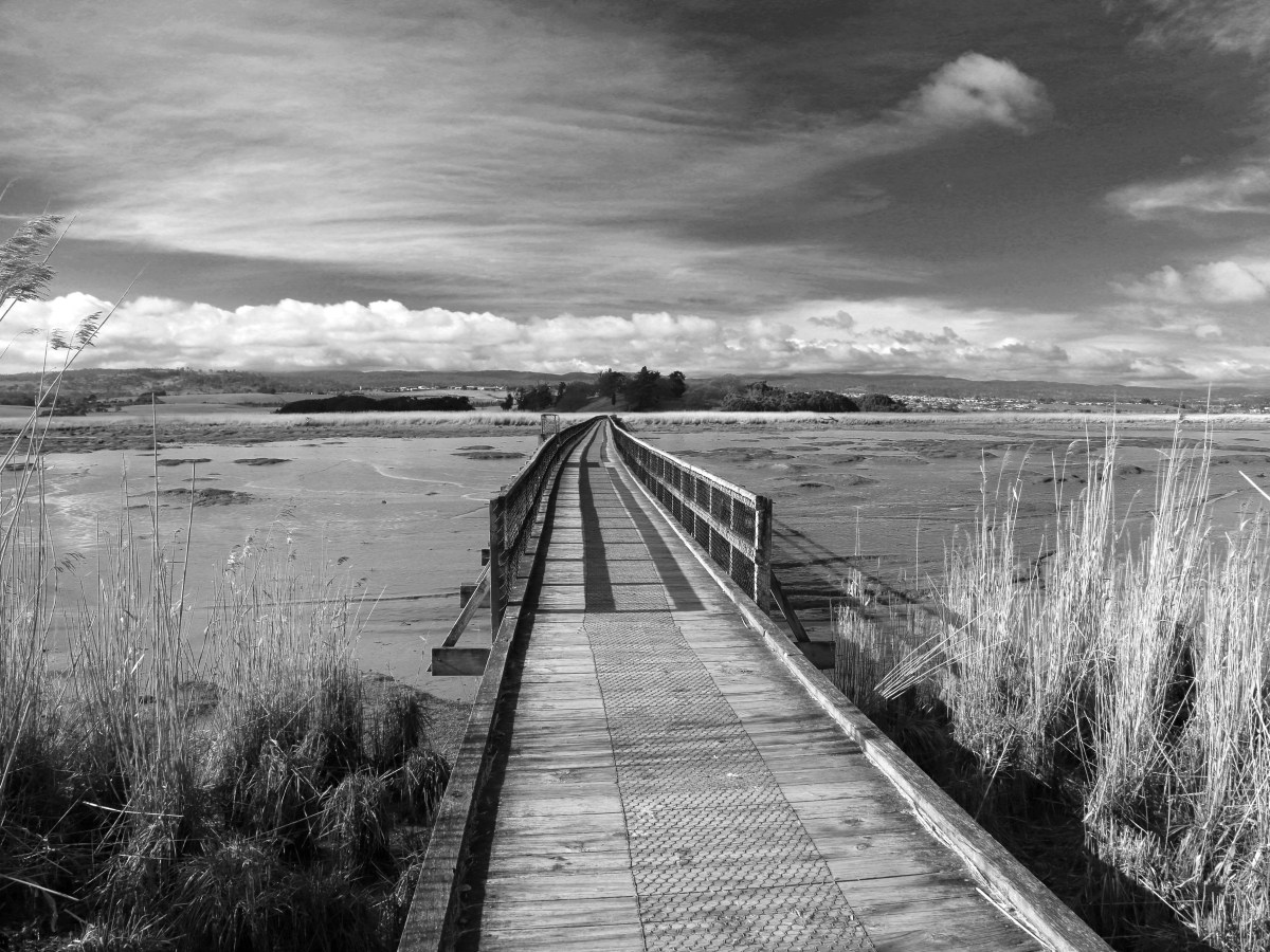 De brug van vriendschap naar liefde